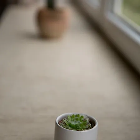 Design In Center Apartment *