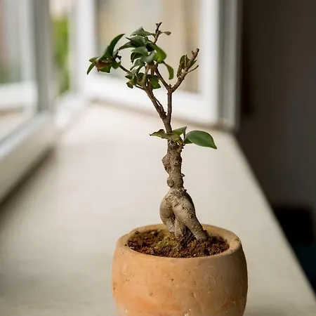 Apartamento Design In Center